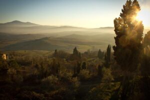 Nostrum impedit possimus sapiente vitae